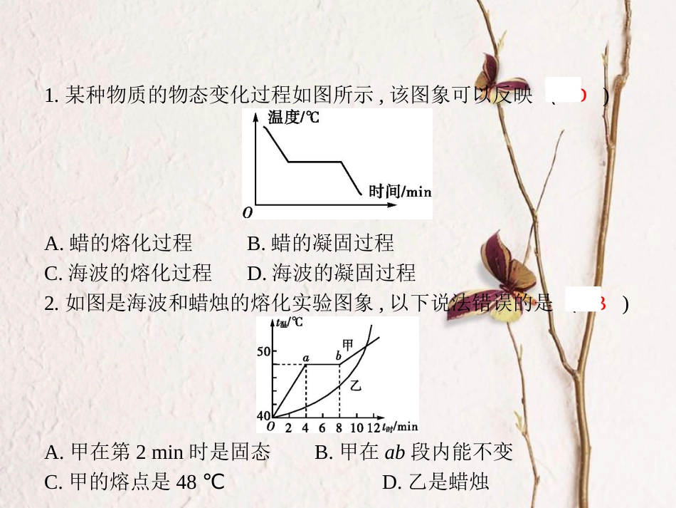 中考物理 专题八 图象题专题训练复习课件 新人教版_第2页
