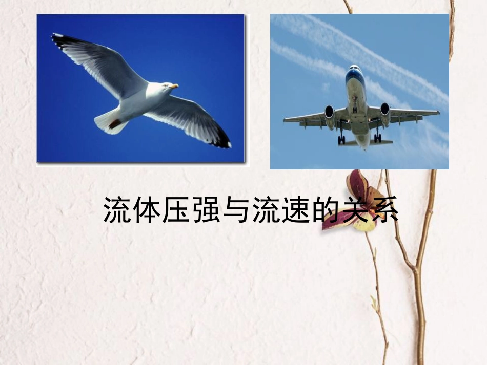八年级物理下册 4.5《液体的压强与流速的关系》课件3 北京课改版_第2页