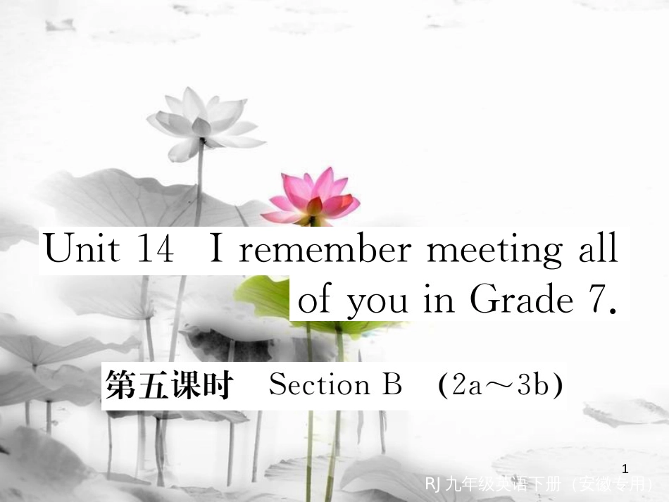 （安徽专版）九年级英语全册 Unit 14 I remember meeting all of you in Grade 7（第5课时）习题课件 （新版）人教新目标版_第1页