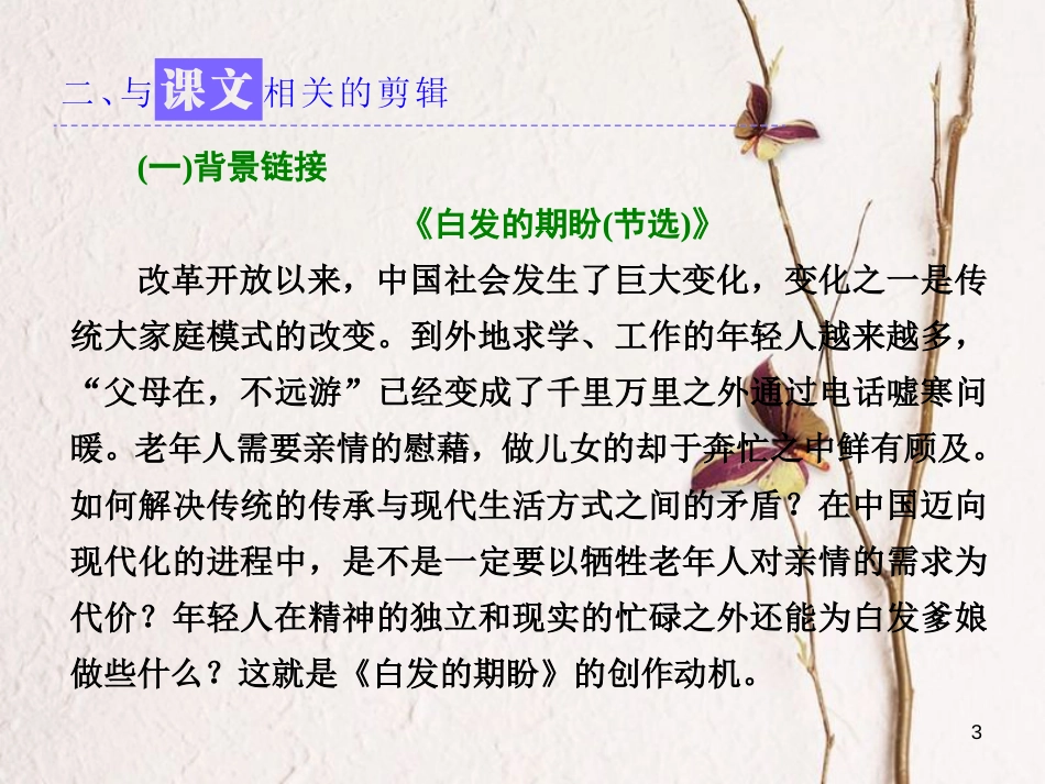 高中语文 第四专题 第16课 白发的期盼（节选）永不消逝的歌声课件 苏教版必修4(1)_第3页