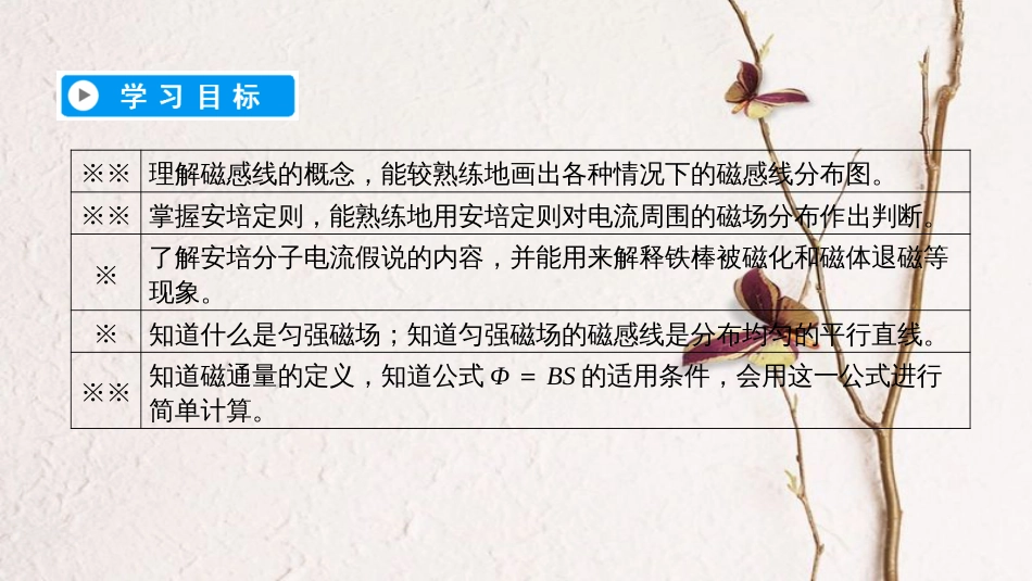 高中物理 第三章 磁场 3 几种常见的磁场课件 新人教版选修3-1_第2页