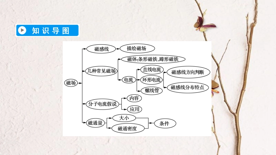 高中物理 第三章 磁场 3 几种常见的磁场课件 新人教版选修3-1_第3页