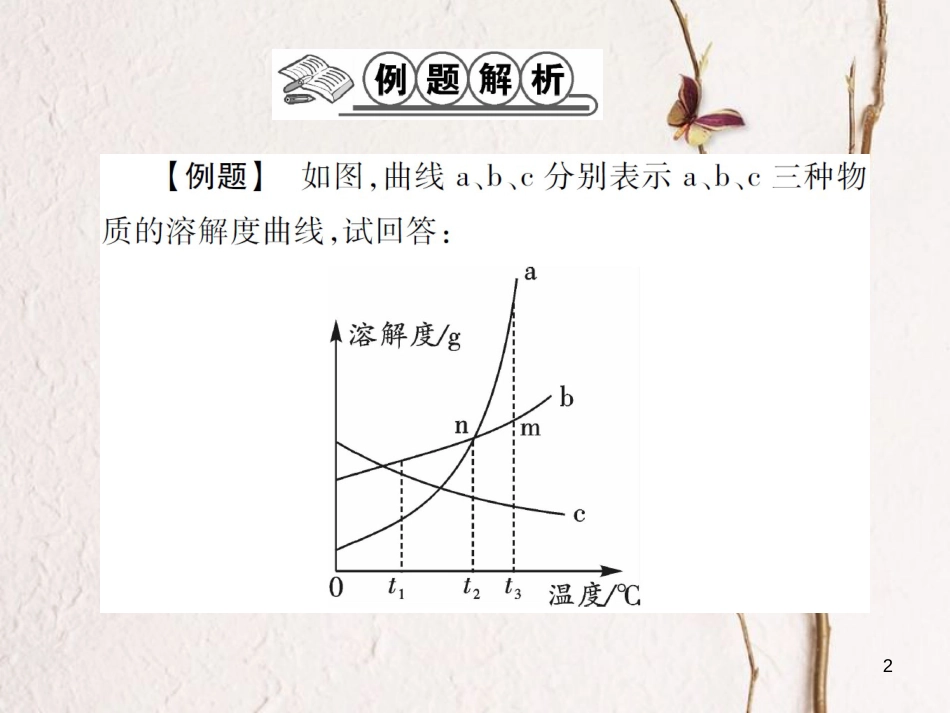 九年级化学下册 专题特训 溶解度曲线的应用习题课件 （新版）鲁教版_第2页