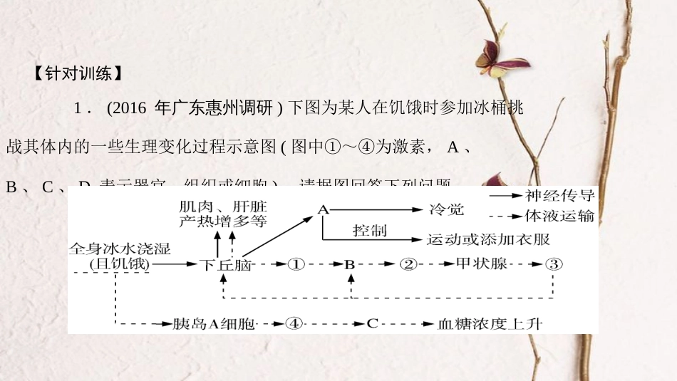 高考生物大一轮精讲复习 小专题九 生命活动中的调节方式课件(1)_第3页