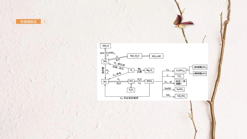 高考化学一轮总复习 专题10 氮及其化合物课件(1)_第3页