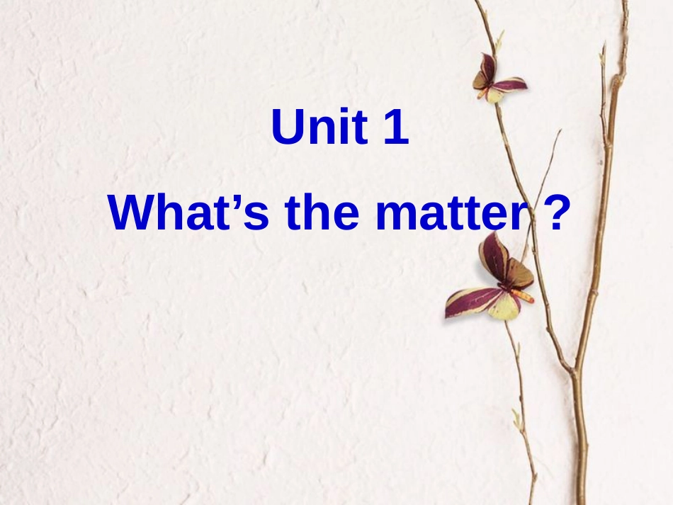 重庆市沙坪坝区虎溪镇八年级英语下册 Unit 1 What’s the matter Section A 2课件 （新版）人教新目标版_第1页