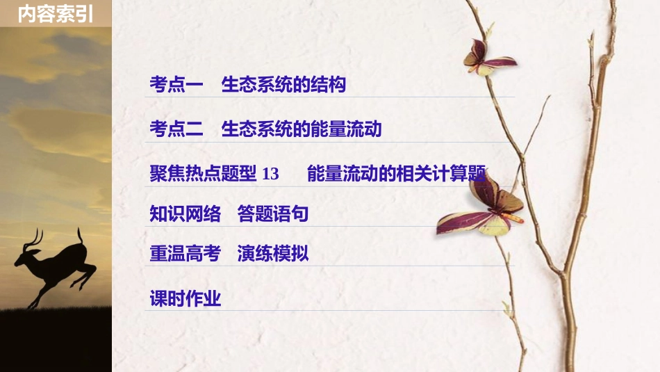 高考生物一轮复习 第9单元 生物与环境 第33讲 生态系统的结构与能量流动课件(1)_第3页