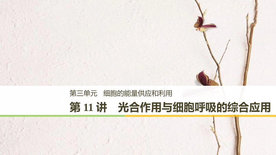 高考生物一轮复习 第3单元 细胞的能量供应和利用 第11讲 光合作用与细胞呼吸的综合应用课件_第1页