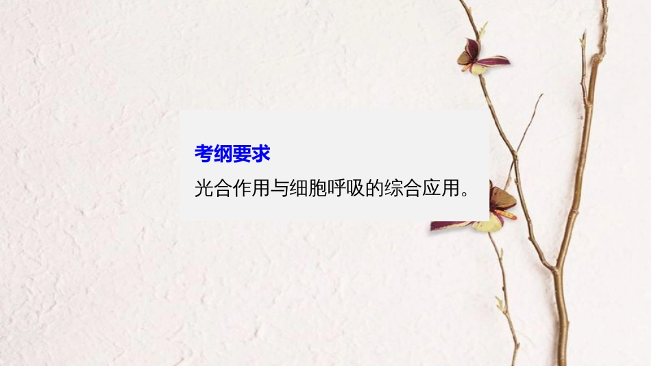 高考生物一轮复习 第3单元 细胞的能量供应和利用 第11讲 光合作用与细胞呼吸的综合应用课件_第2页