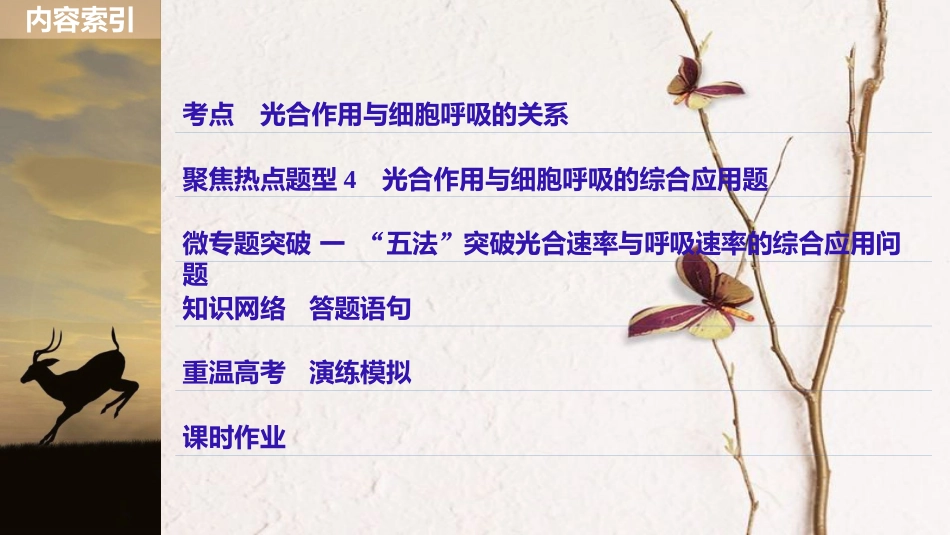 高考生物一轮复习 第3单元 细胞的能量供应和利用 第11讲 光合作用与细胞呼吸的综合应用课件_第3页