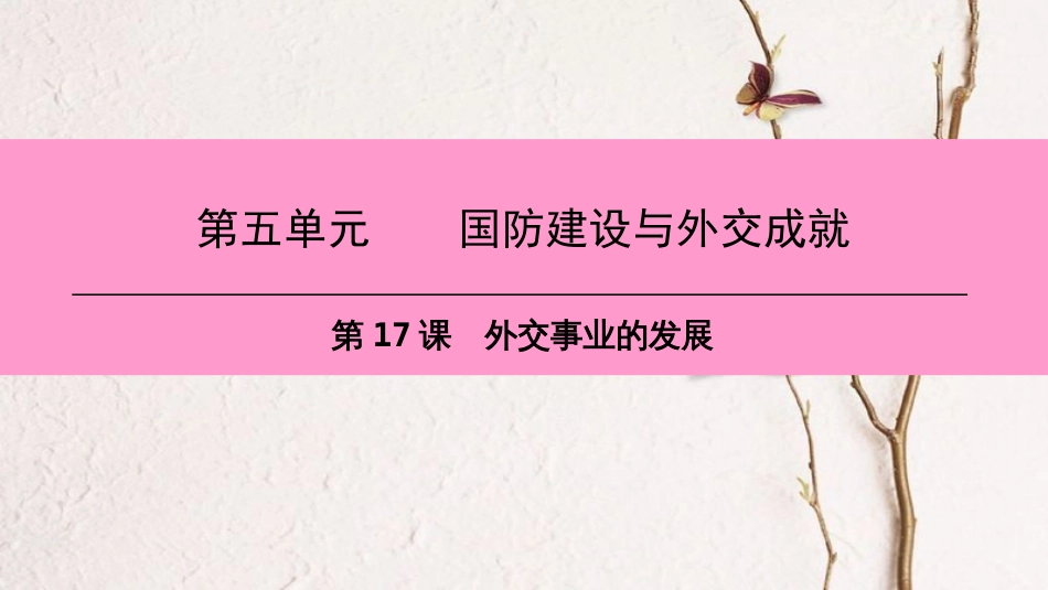 八年级历史下册 第五单元 国防建设与外交成就 第17课 外交事业的发展课件 新人教版 (2)_第1页