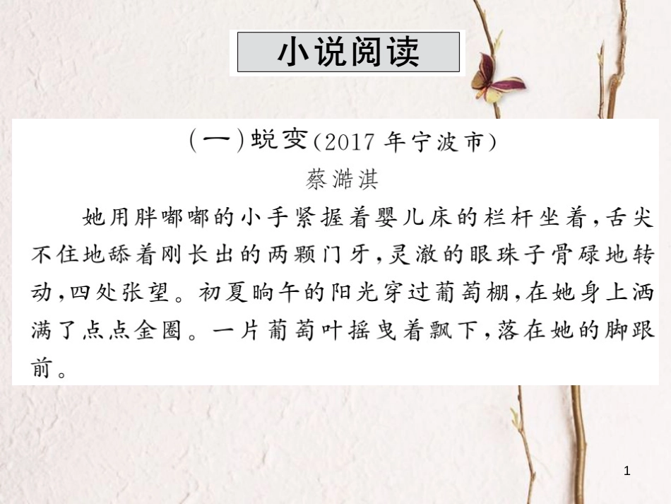 中考语文二轮复习 专题突破讲读 第4部分 现代文阅读 小说阅读课件_第1页