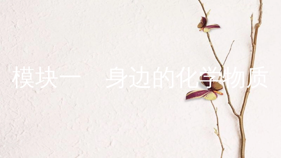 安徽省中考化学一轮复习 第一部分 考点知识梳理 模块一 身边的化学物质 专题一 空气 氧气课件_第2页