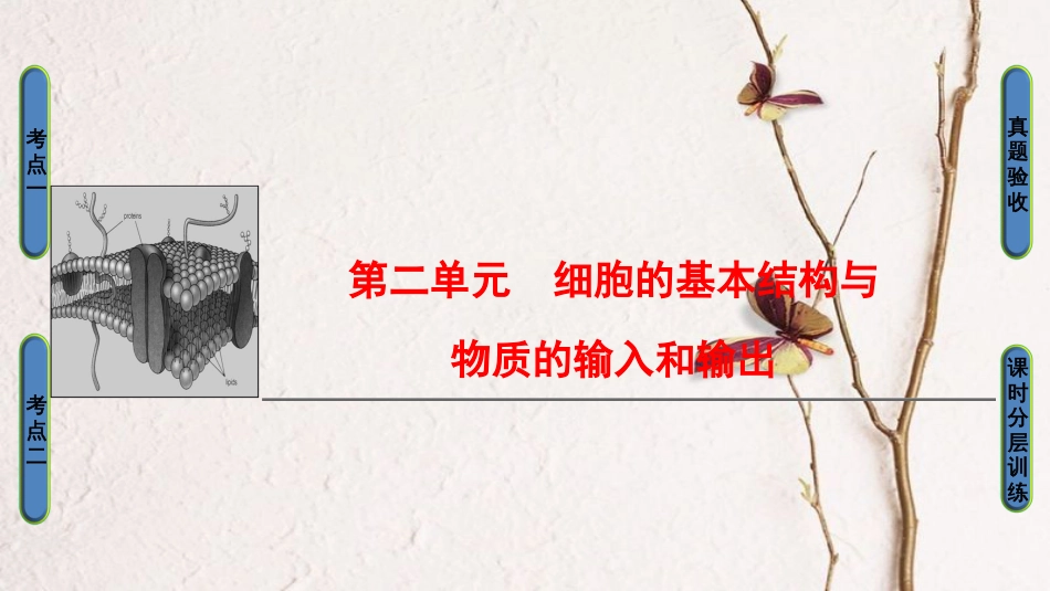 高三生物一轮复习 第2单元 细胞膜和细胞核课件 新人教版必修1_第1页