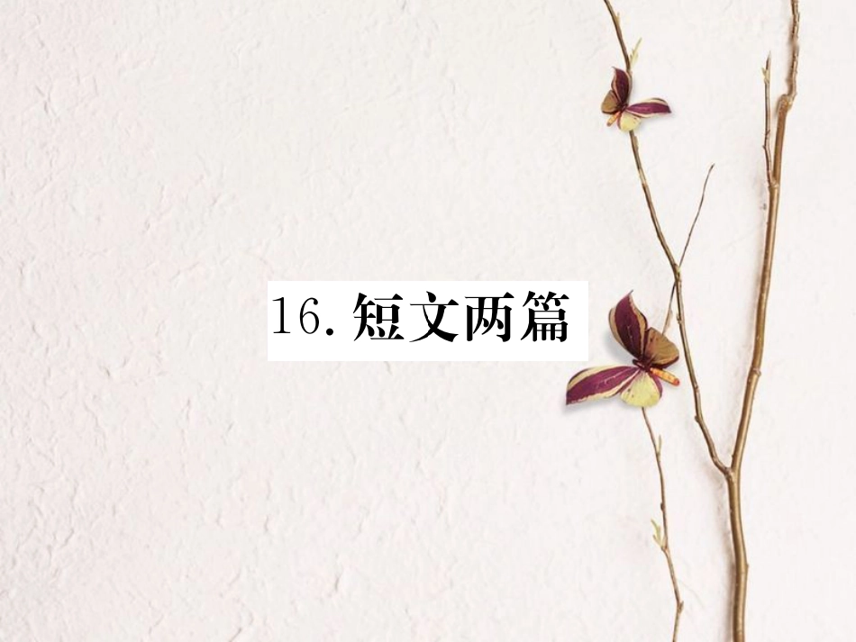 七年级语文下册 第四单元 16 短文两篇课件 新人教版_第1页