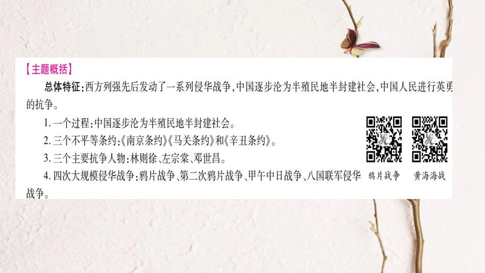 四川省达州市中考历史复习 第一篇 教材系统复习 中国近代史 第1学习主题 列强的侵略和中国人民的抗争课件_第2页