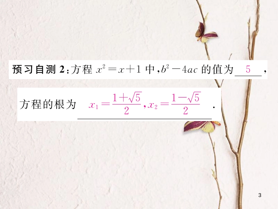 八年级数学下册 第17章 一元二次方程 17.2.2 公式法作业课件 （新版）沪科版(1)_第3页