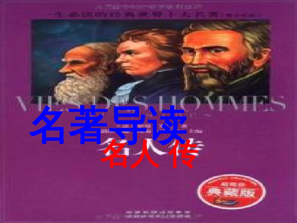 河北省南宫市中考语文 名著导读 名人传课件_第1页