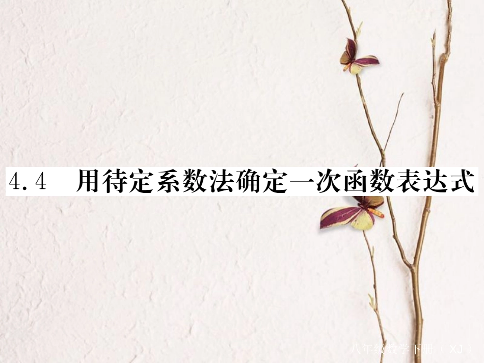 八年级数学下册 第四章 一次函数 4.4 用待定系数法确定一次函数表达式导学课件 （新版）湘教版_第1页