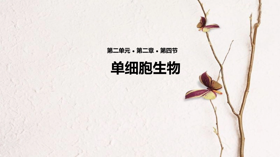 七年级生物上册 第二单元 第二章 第四节《单细胞生物》课件 （新版）新人教版(1)_第1页