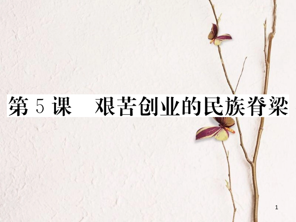 八年级历史下册 第二单元 社会主义建设道路的探索 第5课 艰苦创业的民族脊梁作业课件 川教版_第1页