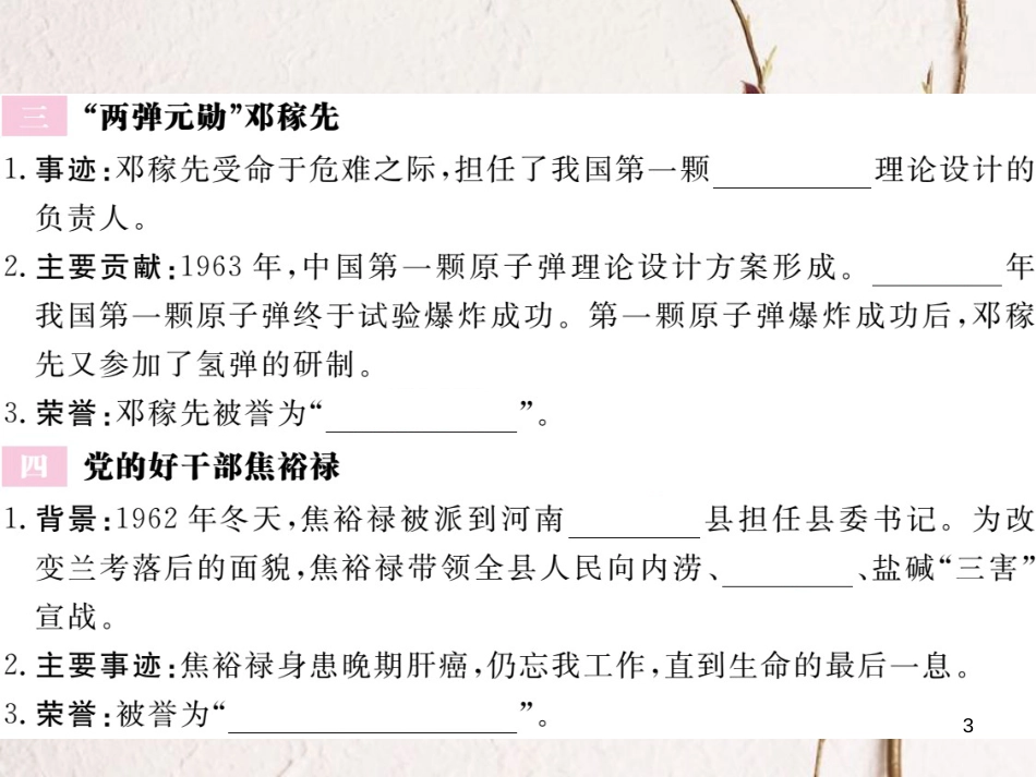 八年级历史下册 第二单元 社会主义建设道路的探索 第5课 艰苦创业的民族脊梁作业课件 川教版_第3页
