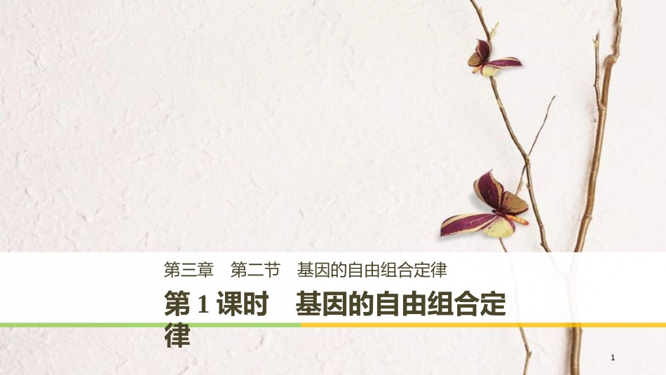 高中生物 第三章 遗传和染色体 第二节 基因的自由组合定律 第1课时课件 苏教版必修2_第1页