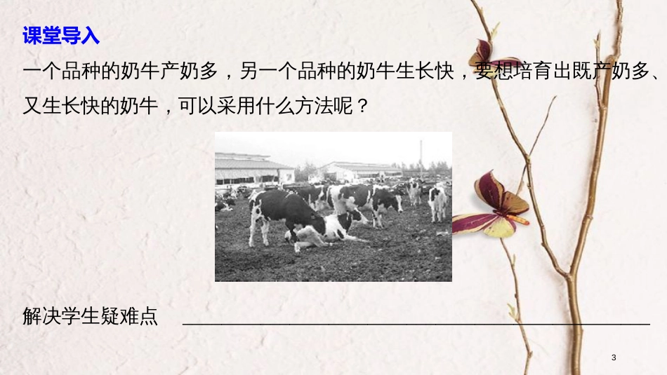高中生物 第三章 遗传和染色体 第二节 基因的自由组合定律 第1课时课件 苏教版必修2_第3页