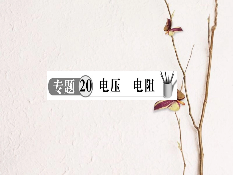中考物理 专题20 电压 电阻复习课件_第1页