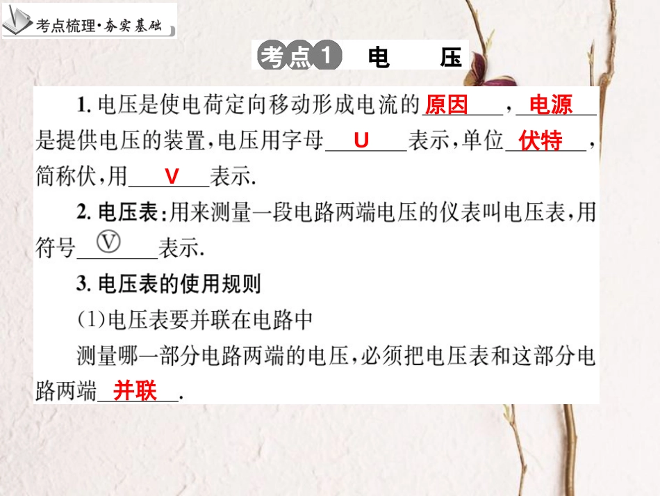 中考物理 专题20 电压 电阻复习课件_第3页