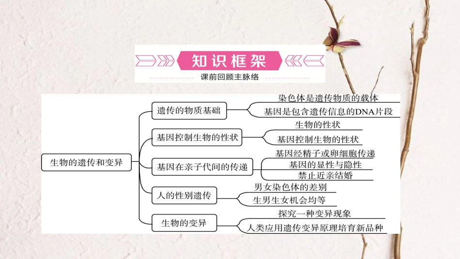 （泰安专版）中考生物总复习 第八单元 第二章生物的遗传和变异教材知识梳理课件(1)_第2页