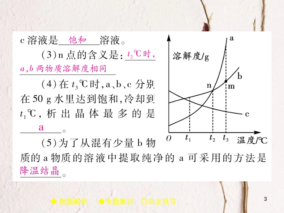 九年级化学下册 专题特训 溶解度曲线的应用习题课件 （新版）新人教版_第3页