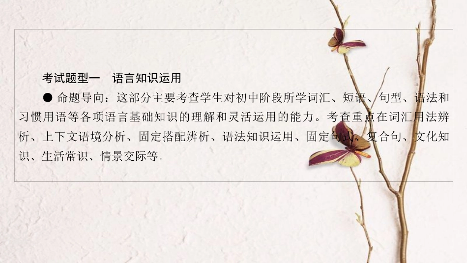 中考英语总复习 第2篇 中考专题探究 专题探究2 单项选择课件 人教新目标版(1)_第2页