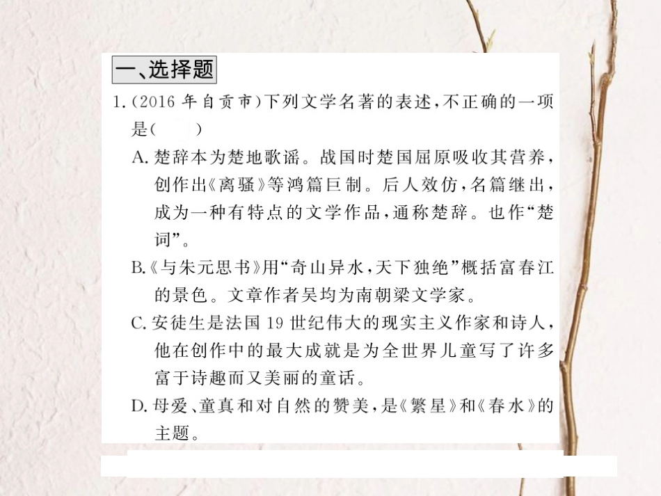 中考语文总复习 第2编 语文知识积累与运用 专题十 文学常识与名著阅读考点精练课件 语文版(1)_第2页