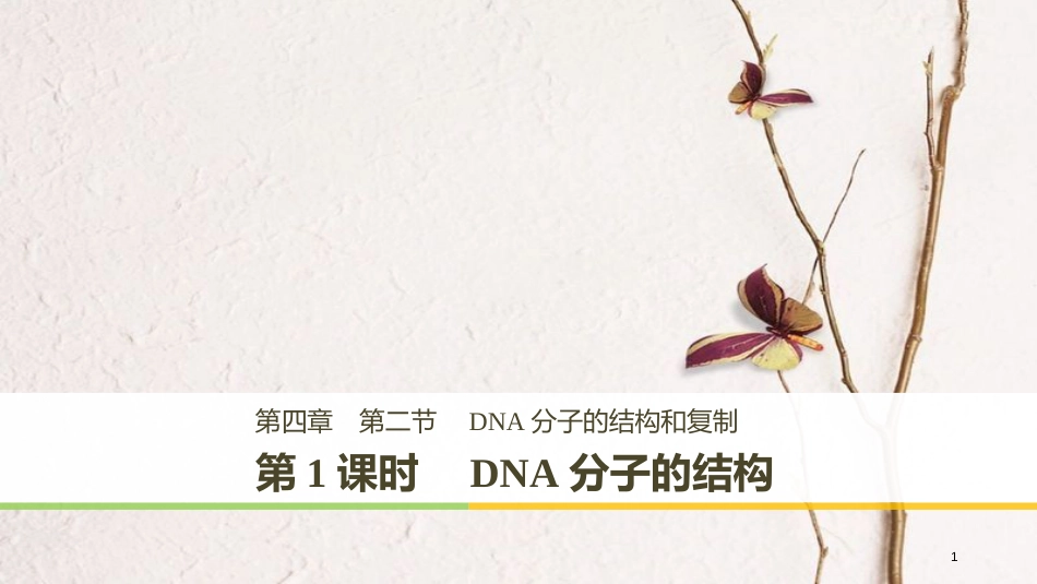 高中生物 第四章 遗传的分子基础 第二节 DNA的结构和DNA的复制 第1课时课件 苏教版必修2_第1页