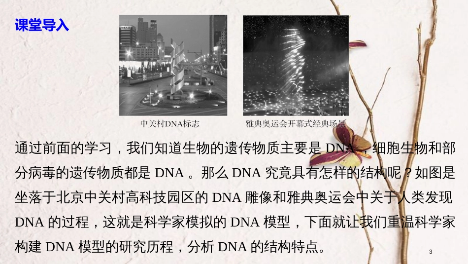 高中生物 第四章 遗传的分子基础 第二节 DNA的结构和DNA的复制 第1课时课件 苏教版必修2_第3页