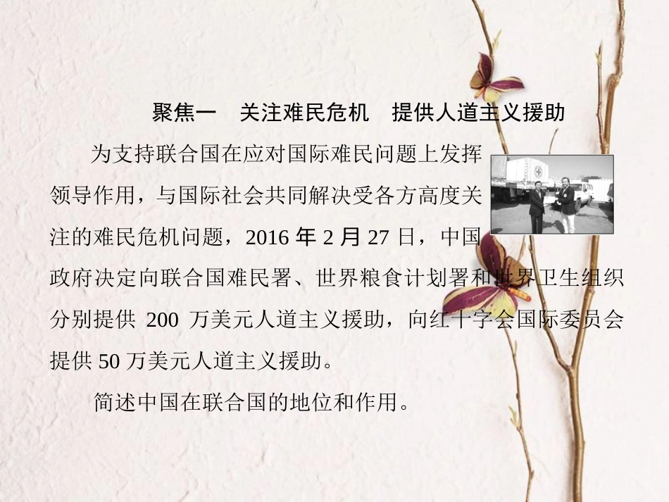 高中政治 第四单元 当代国际社会 第八课 走近国际社会课件 新人教版必修2(1)_第2页