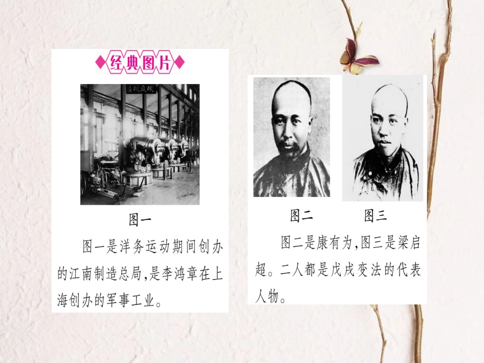 （桂林专用）中考历史总复习 第一篇 考点系统复习 第二板块 中国近代史（八上）第2单元 课件 岳麓版_第3页