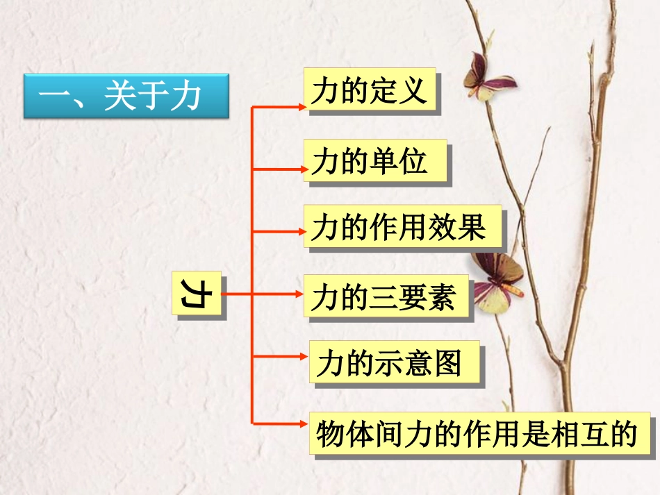八年级物理下册 第七章 力复习课件 （新版）新人教版_第2页