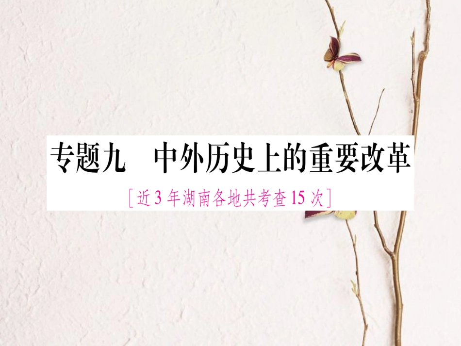 湖南省中考历史复习 第二篇 知能综合提升 专题9 中外历史上的重要改革课件_第1页