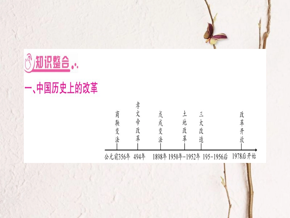湖南省中考历史复习 第二篇 知能综合提升 专题9 中外历史上的重要改革课件_第3页
