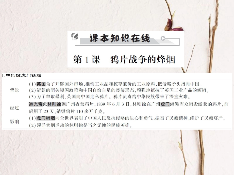中考历史全程突破 第二部分 教材研析篇 中国近代史 第八讲 课件 北师大版_第3页