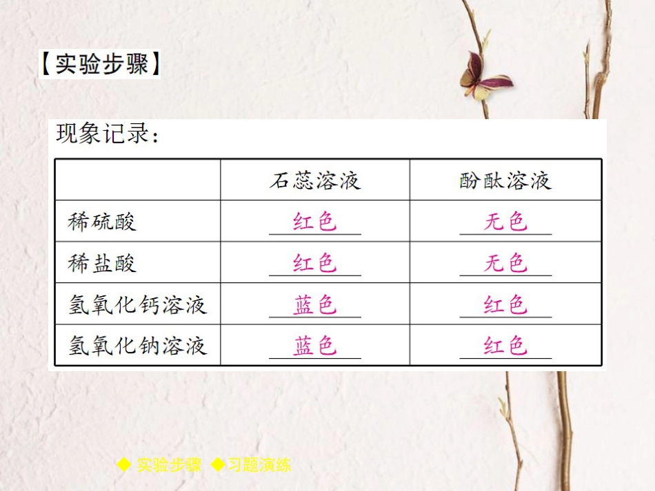 九年级化学下册 第10单元 酸和碱 实验活动6 酸、碱的化学性质习题课件 (新版)新人教版(1)_第2页