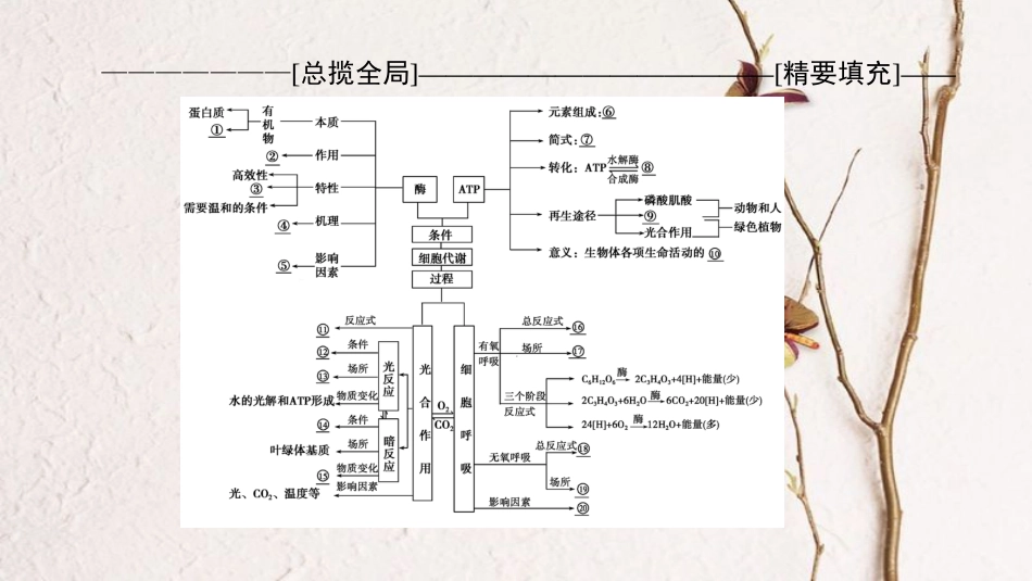 高三生物一轮复习 第3单元 单元高效整合课件 新人教版必修1_第2页