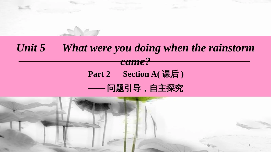 年八年级英语下册 Unit 5 What were you doing when the rainstorm came Part 2 Section A（课后）课件 （新版）人教新目标版_第1页