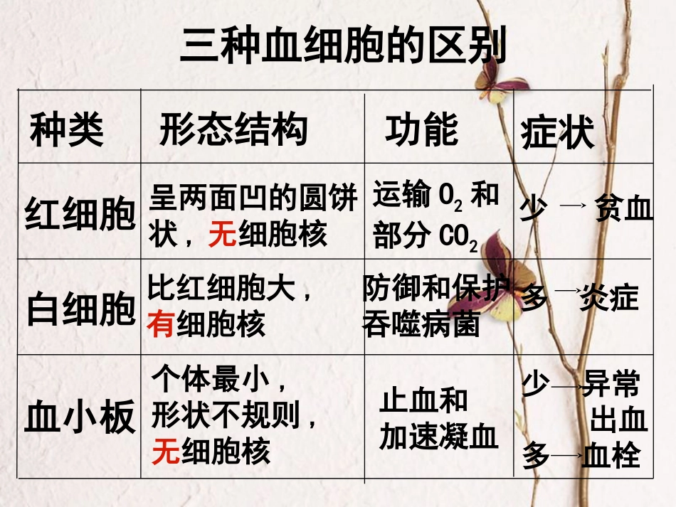 七年级生物下册 第4单元 第4章 第2节 血流的管道—血管课件 （新版）新人教版_第2页