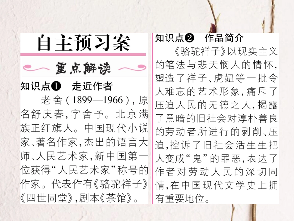（遵义专版）七年级语文下册 第3单元名著导读《骆驼祥子《圈点与批注课件 新人教版(1)_第2页