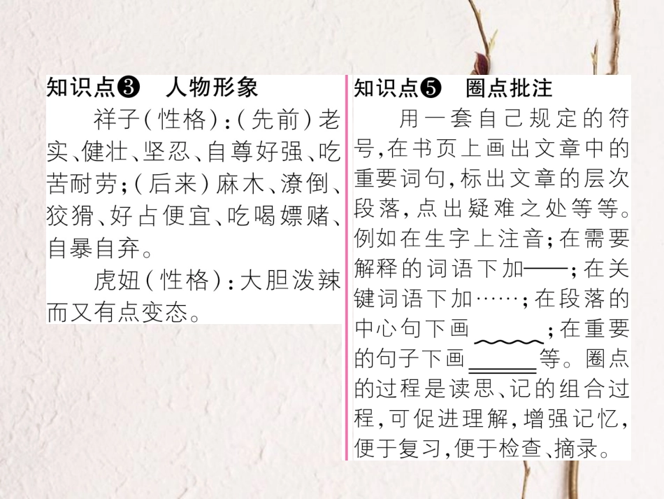 （遵义专版）七年级语文下册 第3单元名著导读《骆驼祥子《圈点与批注课件 新人教版(1)_第3页