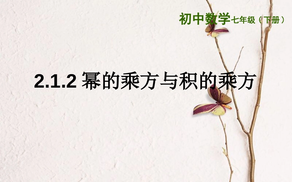 山东省东营市垦利区郝家镇七年级数学下册 2.1.2 幂的乘方与积的乘方课件 （新版）湘教版_第1页