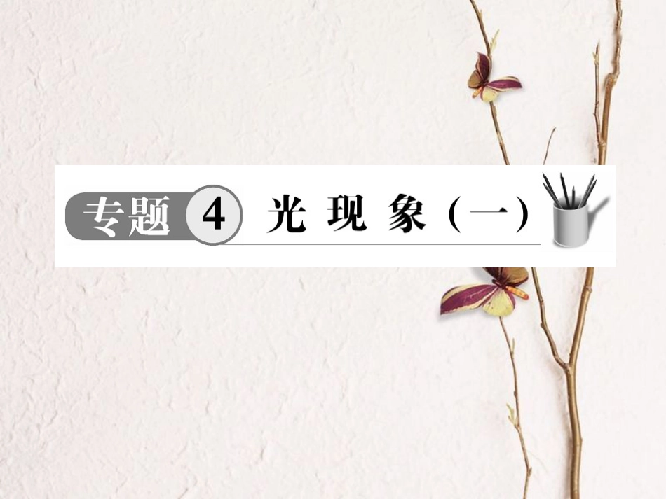 中考物理 专题4 光现象（一）复习课件_第1页